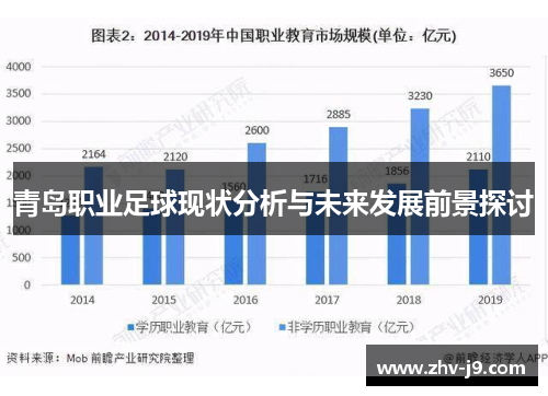 青岛职业足球现状分析与未来发展前景探讨