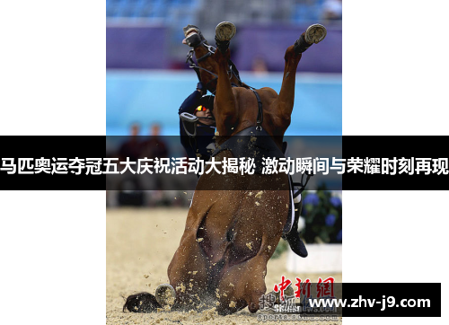 马匹奥运夺冠五大庆祝活动大揭秘 激动瞬间与荣耀时刻再现